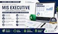 create professional mis reports using excel and power bi