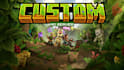 create a custom minecraft server for you