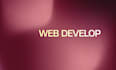 do crypto website development for you