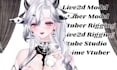 design and rig quality live2d vtuber model with face tracking and expression