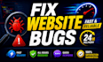 fix website bugs, errors and issues fast in 24 hours