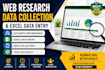 accurate web research data collection and excel data entry