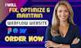 fix, optimize and maintain your webflow website professionally