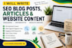 write SEO blog posts, articles and website content