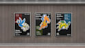 graphic poster, merch and illustrations