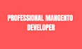 build a professional magento 2 ecommerce store