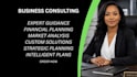 provide advice and business consulting