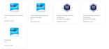 provide expert remote IT support
