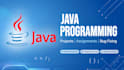 develop custom java billing software