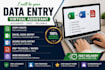 do accurate data entry, copy paste, excel data entry