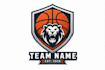 create professional and specially basketball logo design