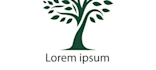 create a professional tree and nature logo design