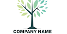 make high quality professional human tree logo design