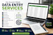 do accurate data entry, excel data entry, copy paste and web research