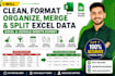 do clean, organize, format, merge, remove duplicate data, split excel data