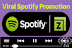 do professional netherlands spotify music promotion