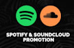 do france spotify promotion