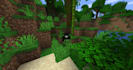 play minecraft java edition with you