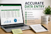 do accurate data entry, copy paste, web research, and excel data