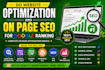 do website optimization and on page SEO for google ranking