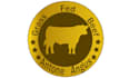 design specialist modern antone angus logo