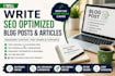 write a professional blog article