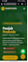 create a professional business website with whatsapp integration