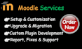 professional moodle expert for installation, upgrades, and migration