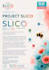 create professional project proposals and business projects