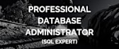 be your professional database admin