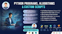 develop python programs, design algorithms and custom scripts