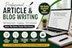 rewrite and edit your articles and content