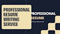 write or rewrite your professional resume and CV
