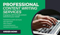 write seo blog  posts
