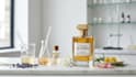 create custom perfume formulation, fragrance and cosmetic formula