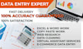 do expert data entry, copy paste, and excel data entry as your virtual assistant