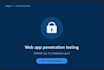 do web application penetration testing