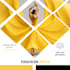 design  social media posts and banners