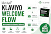 set up high converting klaviyo email flows and welcome flow