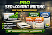write SEO optimized articles, blog posts, and website content