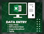 do professional data entry and excel data processing