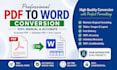 convert PDF to word manually and accurately