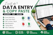 do accurate data entry, copy paste, excel data entry and web research