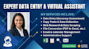 do professional  data entry and virtual assistant task
