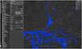 create and edit custom map with mapbox, openlayers, leaflet