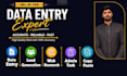 do data entry VA, email collection, admin tasks and data collection
