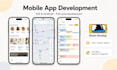 develop a custom ios and android mobile app