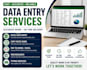 do accurate data entry ,copy paste , web research and excel data entry