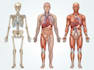 design medical and scientific illustration