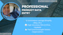 be your virtual assistant and data entry specialist